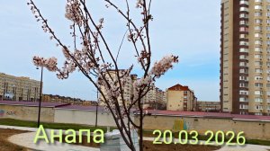 Анапа 20.03.2026