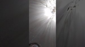 распоковка чееееееекккк