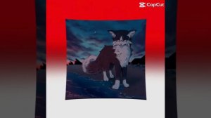 Коты воители и квадробика//// | Aa