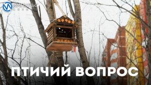 Новоуренгойцы в микрорайоне Дружба вынесли на голосование птичий вопрос