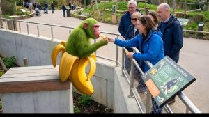 Zraviplay - Brainrot Zoo Vol. 5 (официальное музыкальное видео)