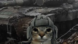 Tanks Blitz_Стрим