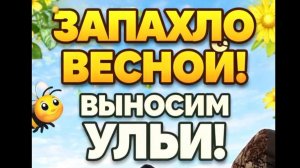 Выносим ульи