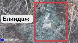 💥☠255 мсп и 57 орСпН вычищают позиции ВСУ в Николайполье и Торском