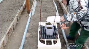 Исправляю ошибки / Лук в теплице / Дождалась петуньи.