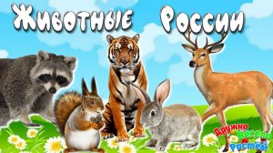 ДИКИЕ ЖИВОТНЫЕ И ПТИЦЫ РОССИИ - УЧИМ ЖИВОТНЫХ-ЖИВОТНЫЕ ДЕТЯМ -ЗВУКИ И ГОЛОСА ЖИВОТНЫХ