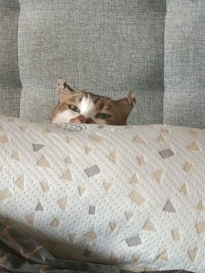 рисую на графическом планшете!!!