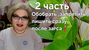 2 часть. Обобрать, запретить, лишить сразу после загса❗️