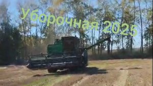 Уборочная пшеницы. МТЗ 82.1, Дон-1500б.