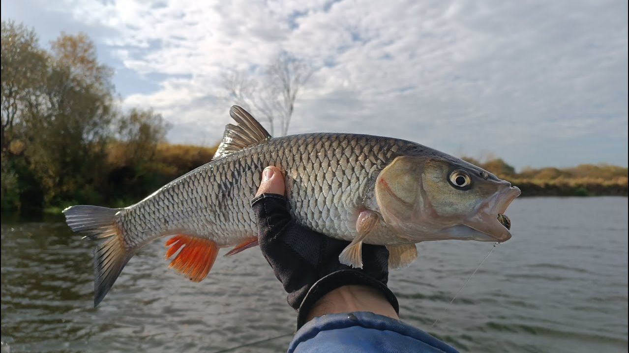 Рыбалка на Каме часть 2 Ловля Окуня и Голованя. Кто Кого?! Лучшая Зимняя рыбалка Онлайн на Рутубе
