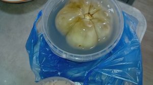 накупила семян/ рулет готов/ вечер воспоминаний