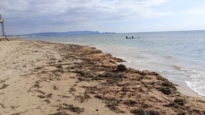 подготовка к сезону . Анапа