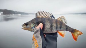 Лучшая Зимняя Рыбалка на реке Кама. Русская Рыбалка. Крутой Поклёв. Лучшие Моменты. Рыбалка Онлайн
