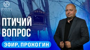 Эфир. Птичья кормушка. Доступная среда. Конкурсы.