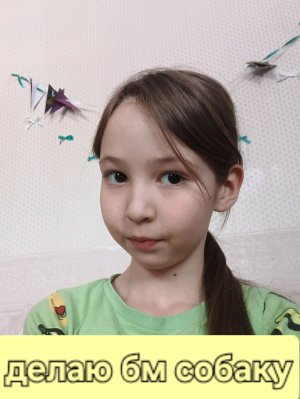 делаю бм собаку