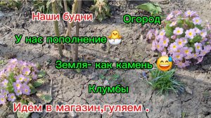 20-03-2026 Живём на юге/У нас пополнение//Работы всё больше//Наши будни весной//Вечерняя прогулка//