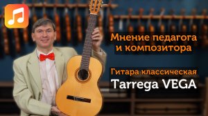 Михаил Магнитский тестирует Tarrega Vega: яркость ели и тепло клёна