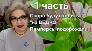 1 часть. Скоро будут "ходить на ВЕДРО".Памперсы подорожали❗️