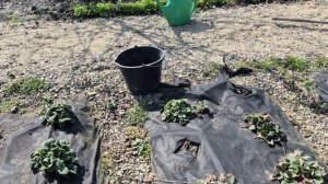 ЗЕМЛЯ КАК БУБЕН... ЧТО ДЕЛАТЬ 🙄ЖДЁМ СТУДЕНТА..