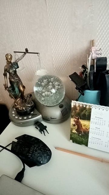 VID_20260320_073754.mp4