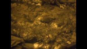 Страшный мир после ядерной катастрофы. Записки мертвого человека