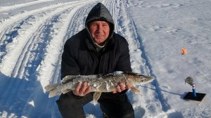 "Колхозная яма", фотоотчёт.