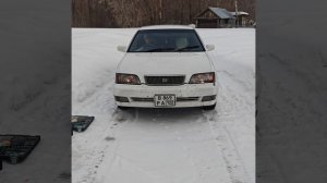 Вежливый свет день