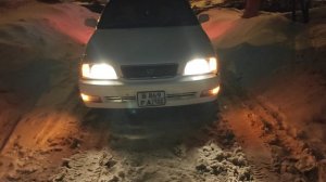 Вежливый свет