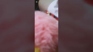 Барсик и фсе остальные ⚠️ паругались