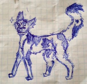 вечерний стрим