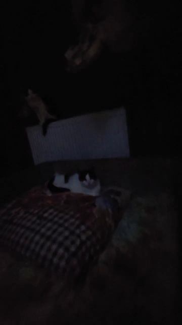 Ночной эфир