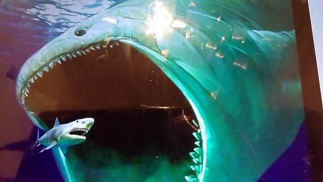 Блуп существует или нет