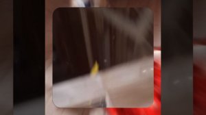 1000052817.mp4 (Собака наблюдает за устройством лестницы на 2-ой этаж в доме А-фрейм)