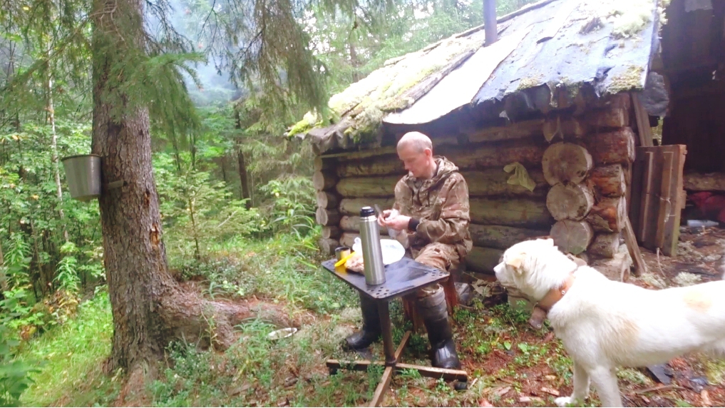 Жесть,медведь попался в волчий капкан!