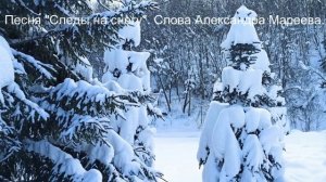 Следы на снегу