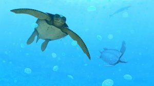 ГИГАНТСКАЯ МОРСКАЯ ЧЕРЕПАХА, приготовленная тремя способами - Palau Seafood Koror