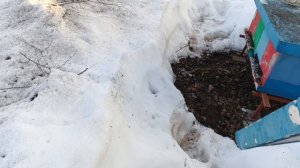 20.03.26. Пасека в сугробах. Закрываю вентиляцию.