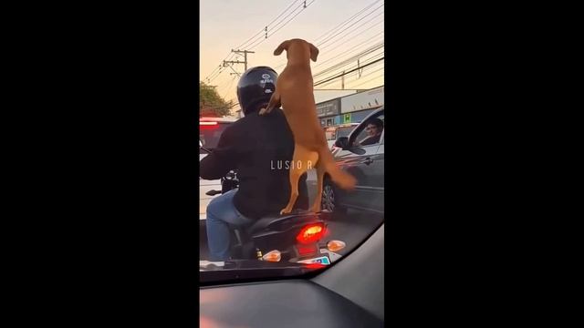 из подборки 2 сборник