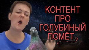 КОНТЕНТ ПРО ГОЛУБИНЫЙ ПОМЁТ. ПИРАТСКАЯ ЖИЗНЬ. ОБЗОР.