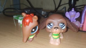 Littlest Pet Shop Сериал: Моя Мелодия Души 4 серия 1 сезон