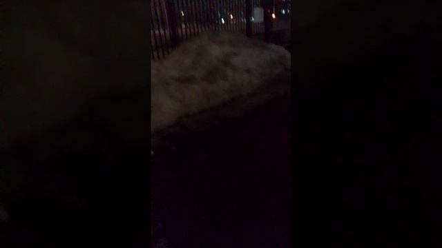 бобущяна отаковала меня и Вернулся Вова моркова