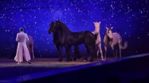 Конное шоу Алекса Джионы.