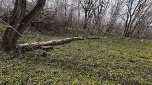 17-19 марта 2026г. Обработала клубнику,пожгла ветки,посадила еще картошку.