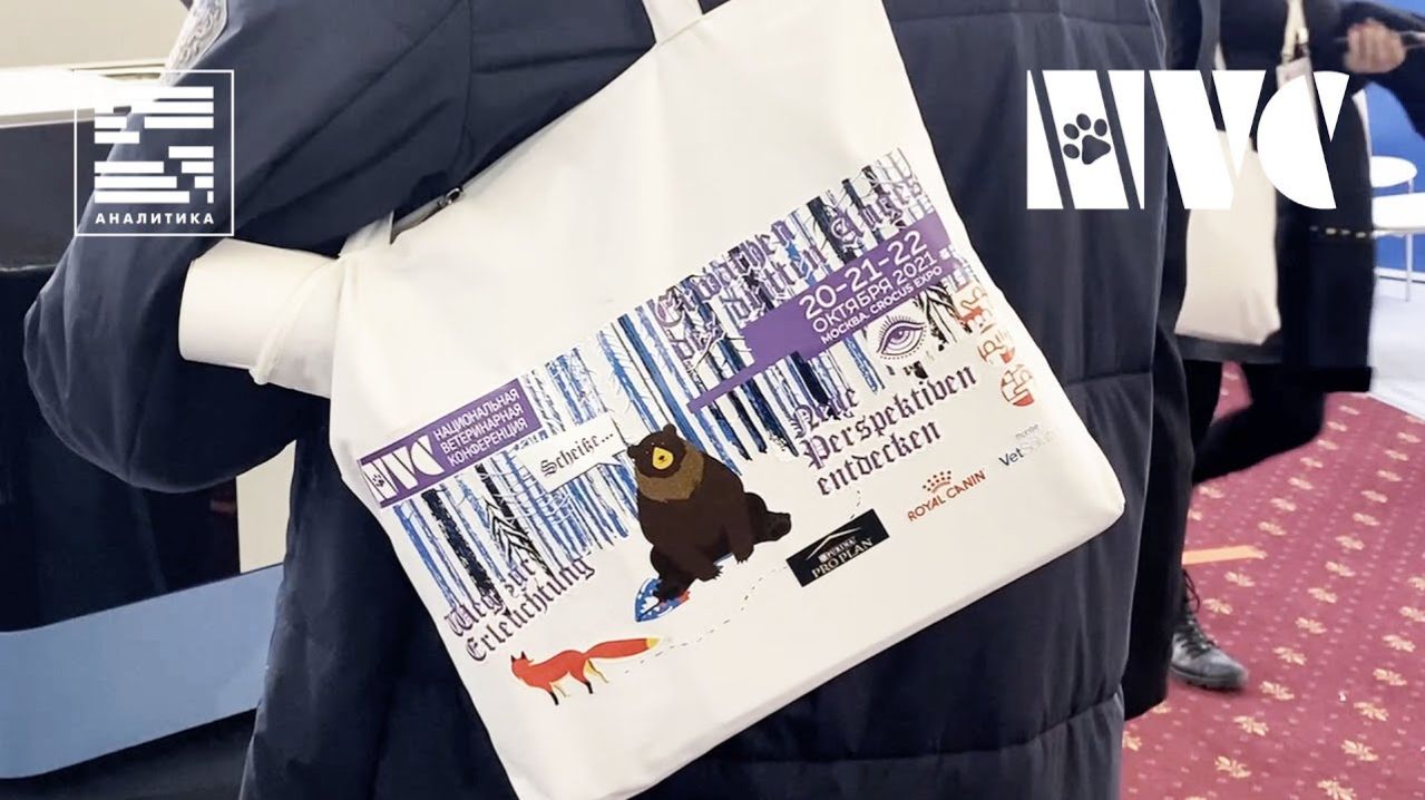 Конференция | АНАЛИТИКА и NVC 2021