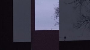 стрельба на 50м