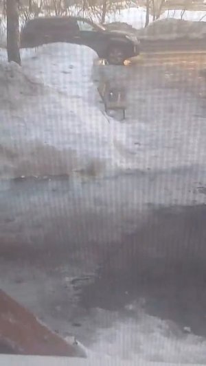 Екатерина великая