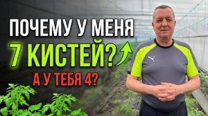 РАСКОПАЛ КОРНИ через 3 дня и обомлел! Секрет мощной рассады томатов