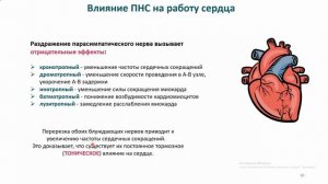 Лекция 16. Нормальная физиология для ИКМ и ИМД. Регуляция сердца. Бабкина И.И.