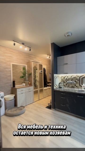 Каштановая 10