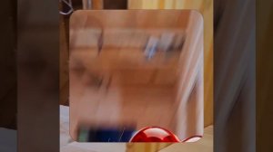 1000052813.mp4 (Собака наблюдает за устройством лестницы на 2-ой этаж в доме А-фрейм)